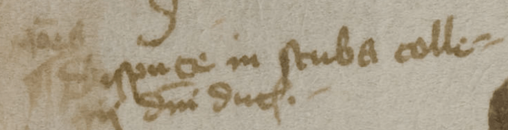 Basel, A X 44, f. 29v, left margin