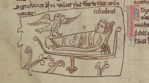 An illumination of a caladrius (winged creature) by the bedside of a dying man in Merton College, MS 249, f. 8v. Reproduced with the kind permission of The Warden and Fellows of Merton College, Oxford.