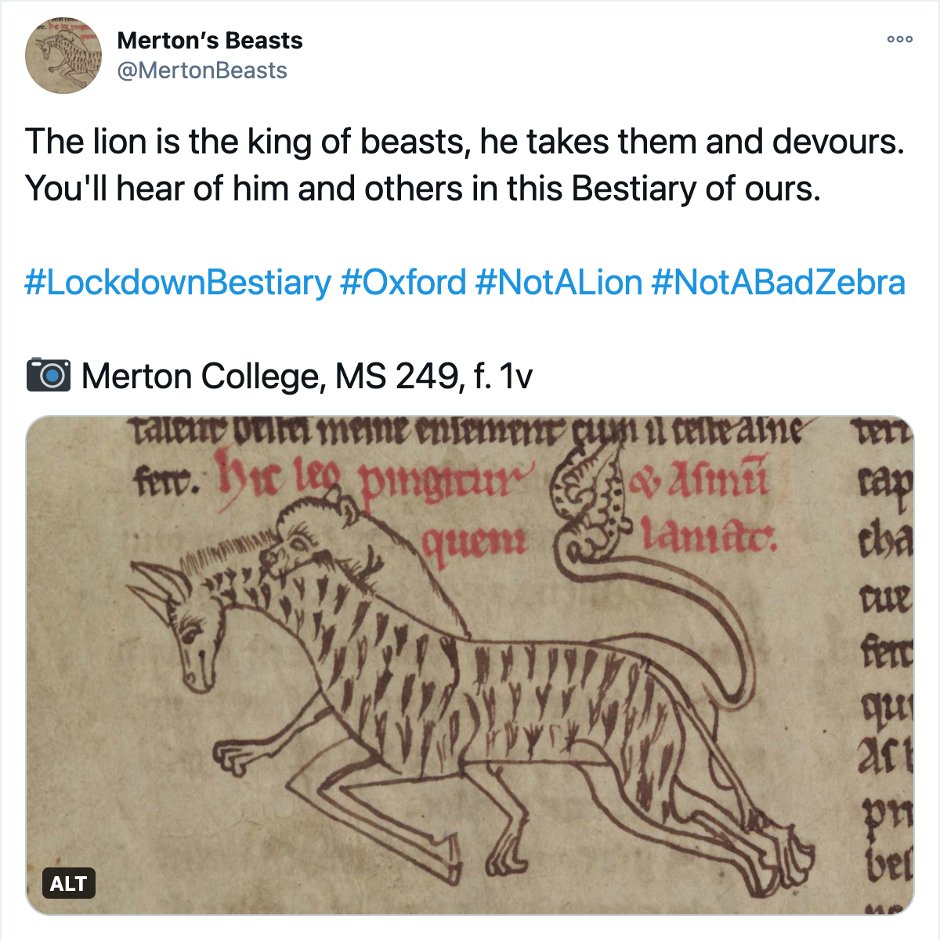 Screenshot from @MertonBeasts Twitter