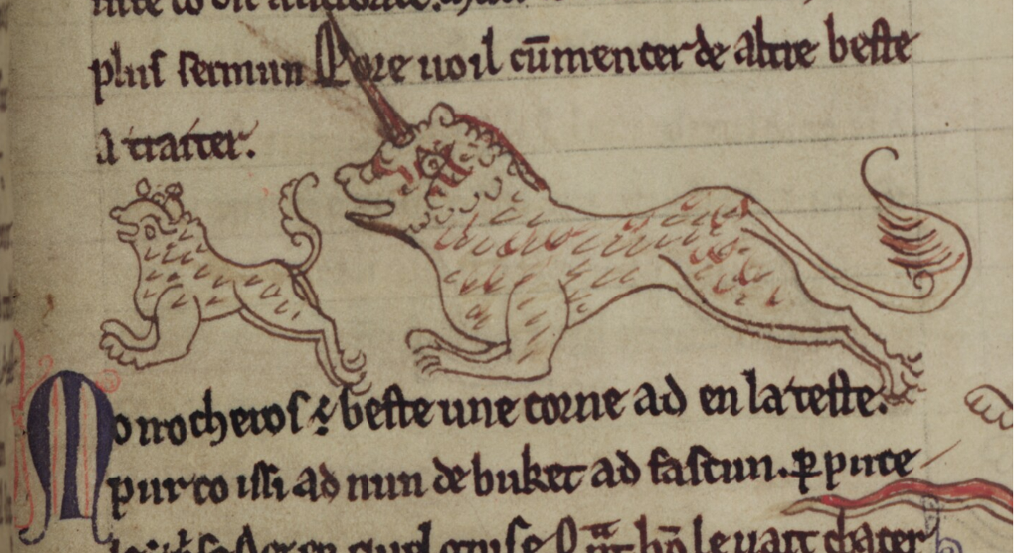MS 249, f. 3r.