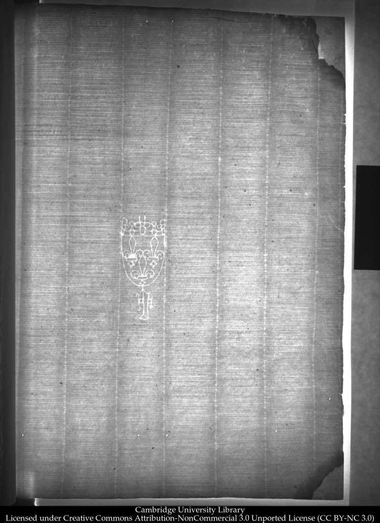 A piece of medieval paper photographed using mass spectrometry imaging to foreground the chainlines and watermark.