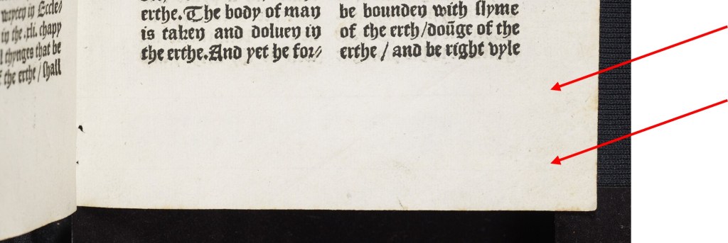 A detail from Bodleian Library, Arch. G e.2, sig. b6r (lower margin), where horizontal chainlines are visible (as highlighted with arrows).